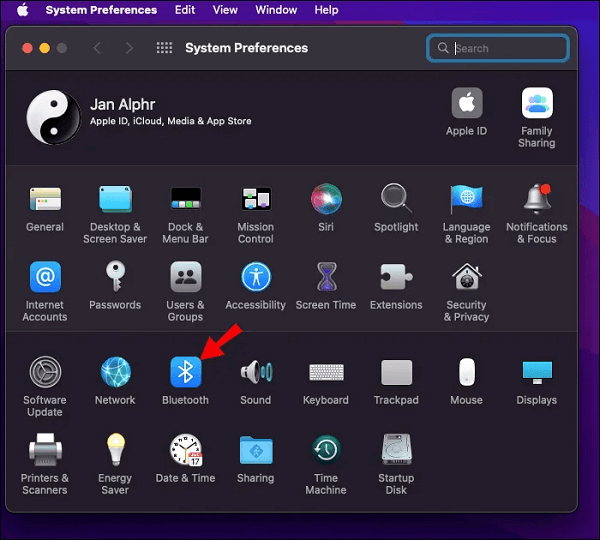 Bluetooth on the System Preferences interface