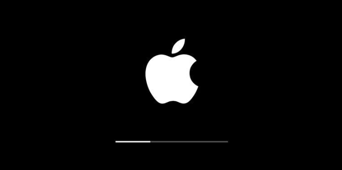weiße Apple-Logo mit einem Fortschrittsbalken
