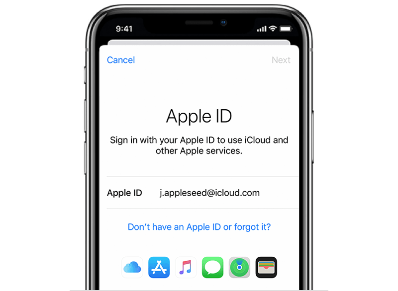 Apple ID Sign In Screen