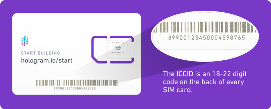 The ICCID Number Listed on the Back of Your SIM Card