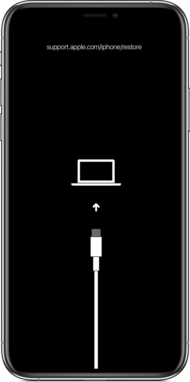 iPhone Recovery Mode Screen