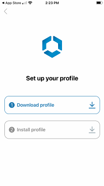 MDM - Intelligent Hub - Set up Profile