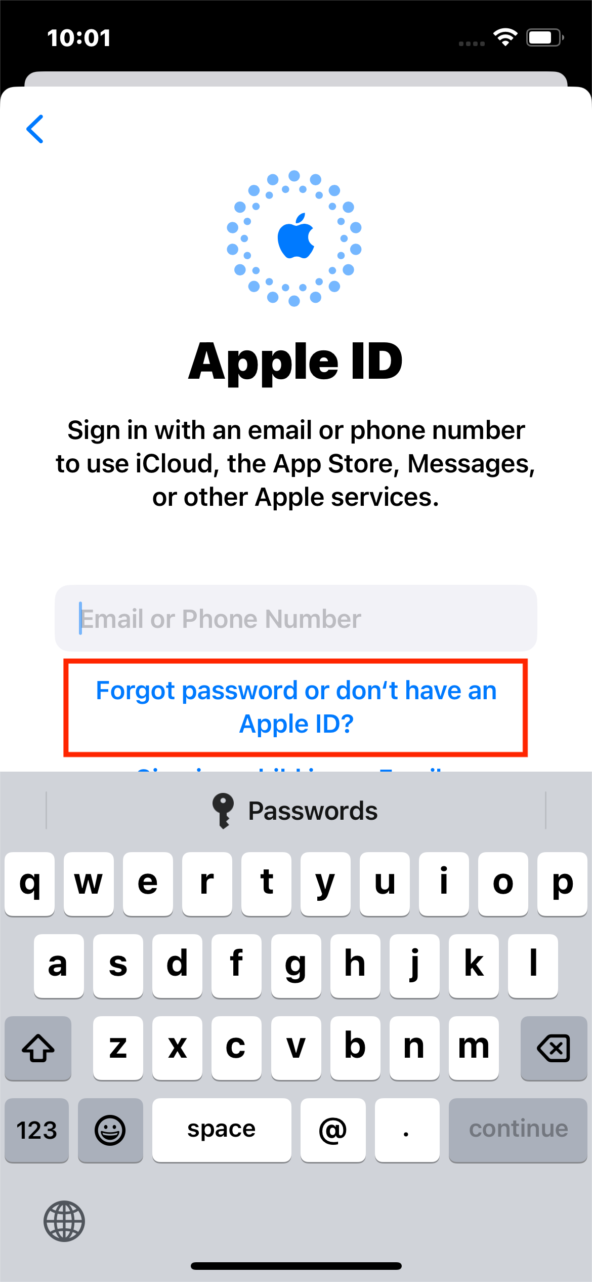 Look Up Your Apple ID on iPhone