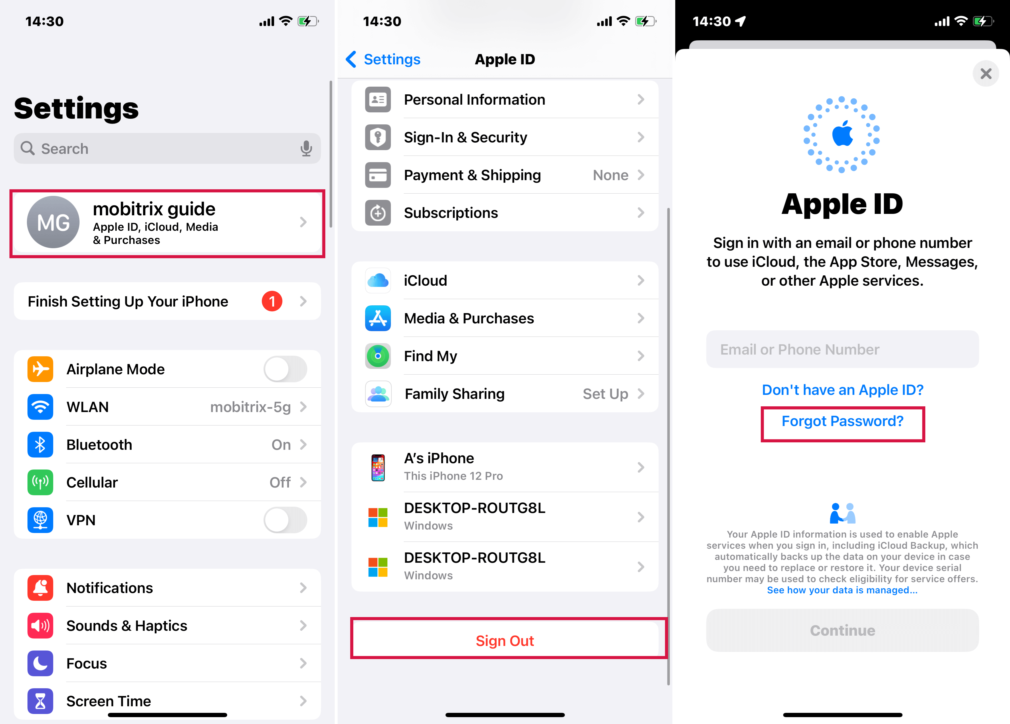 Reset Apple ID Password in Settings