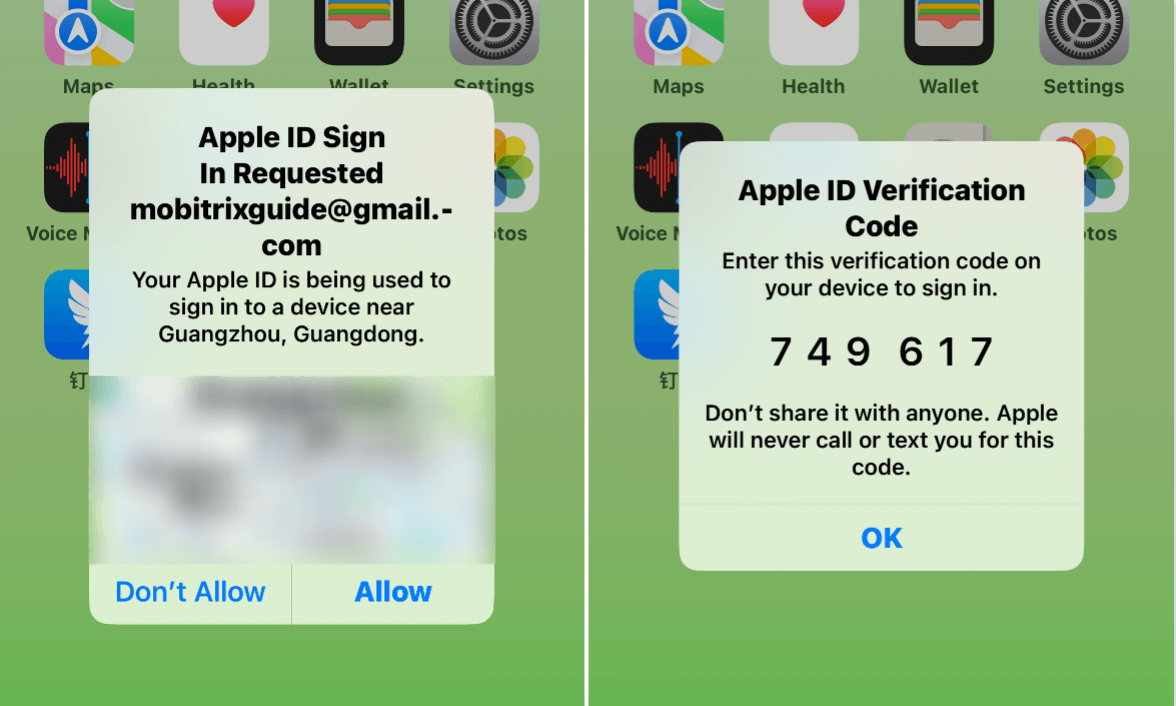 Apple ID Verification Code