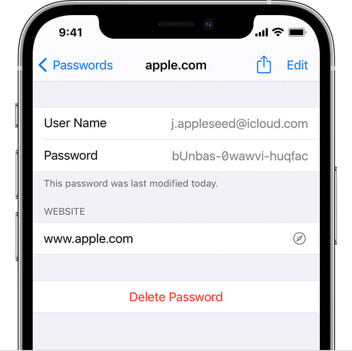 What does an Apple ID password look like?