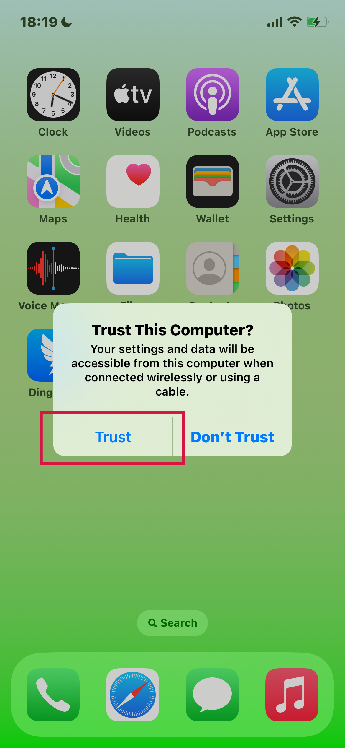 Trust This Computer