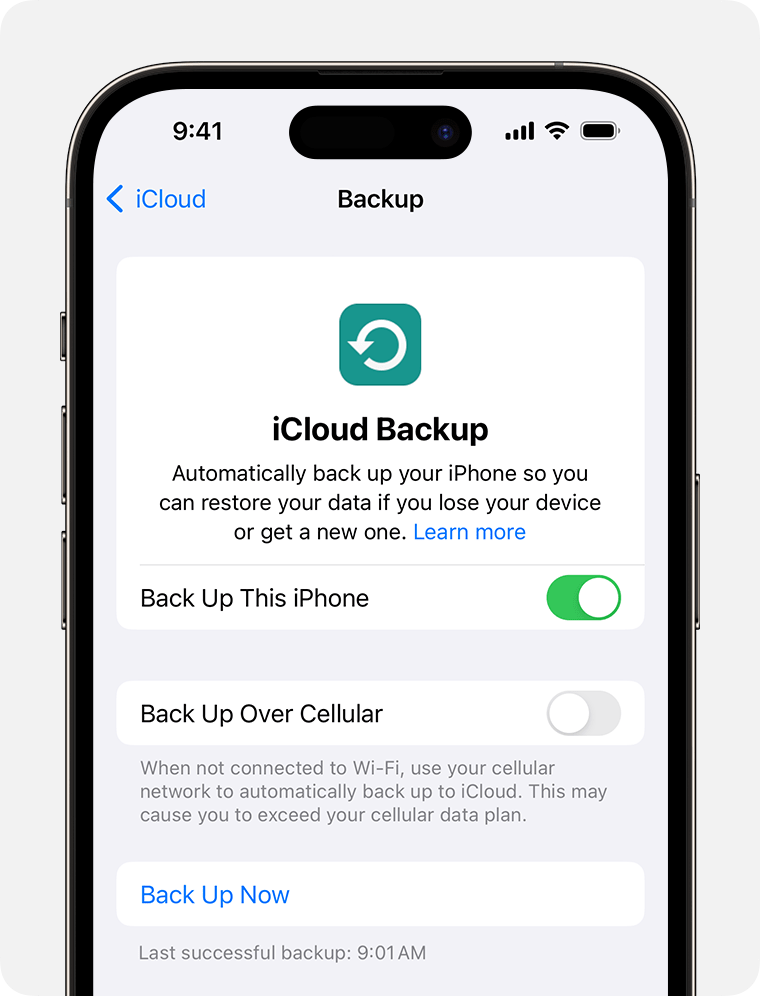 iPhone iCloud Backup