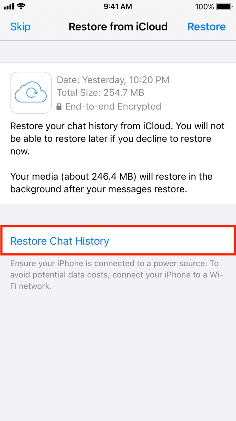 Tap Restore Chat History from iCloud