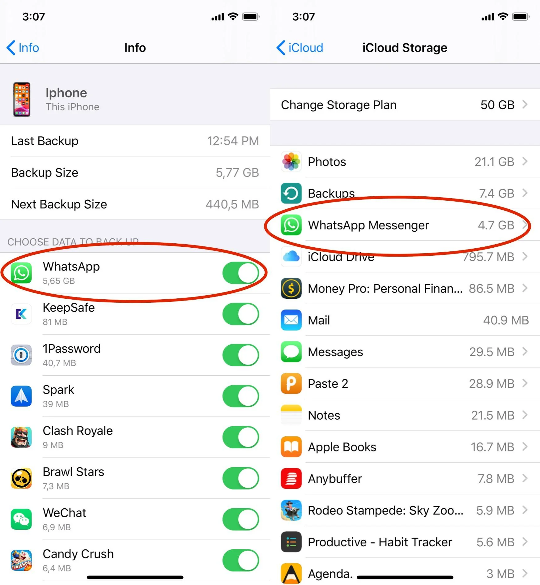 WhatsApp Backup on iCloud Storage