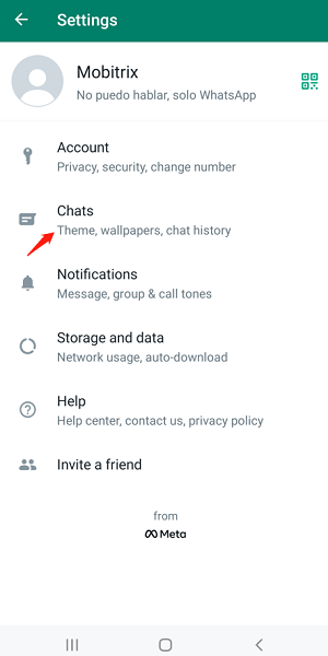 tap on the chats section