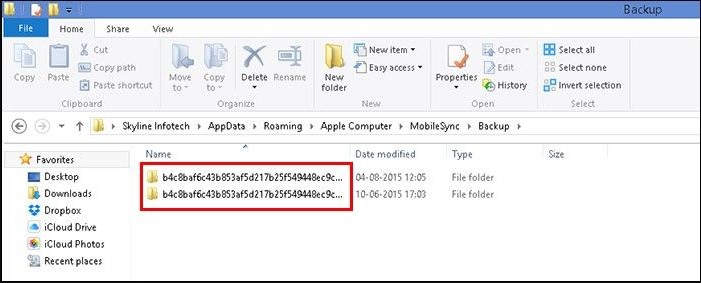 Find iTunes backup path on Windows