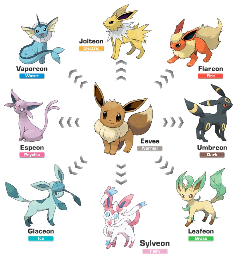 2x Faster] 8 Eevee Evolutions in Pokémon GO