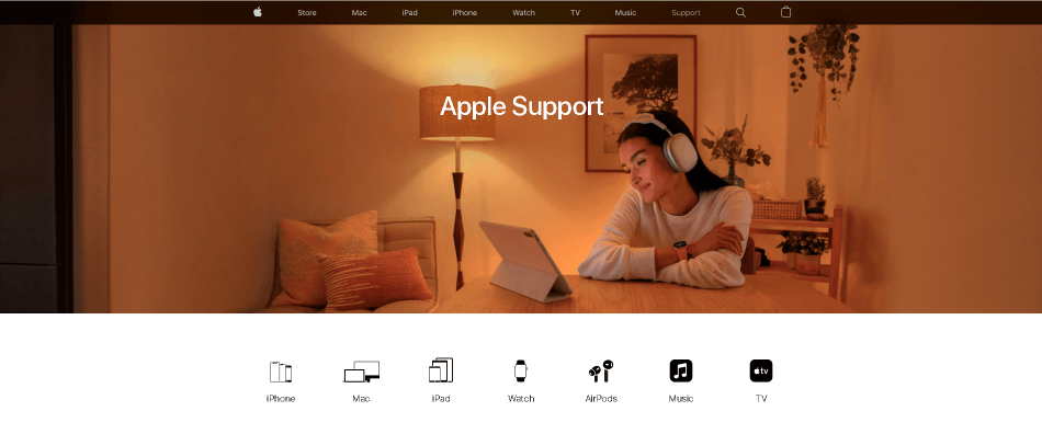 apple support interface