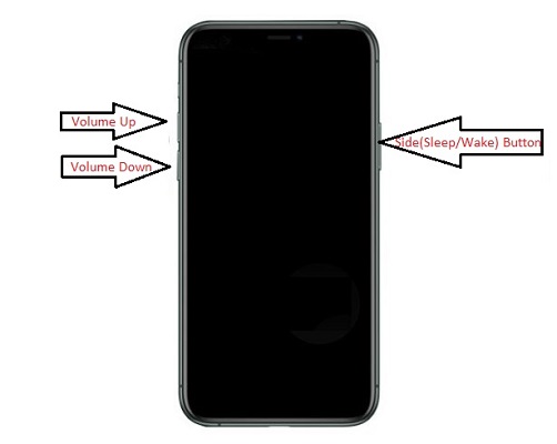 Buttons to put iPhone 8 or later into DFU mode.