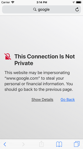 Insecure websites can cause iPhone malware.