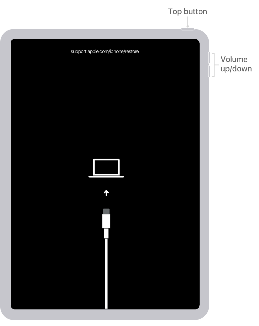 Reset iPad Via iTunes With USB Cable