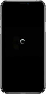 iPhone Black Screen with Spinning Wheel