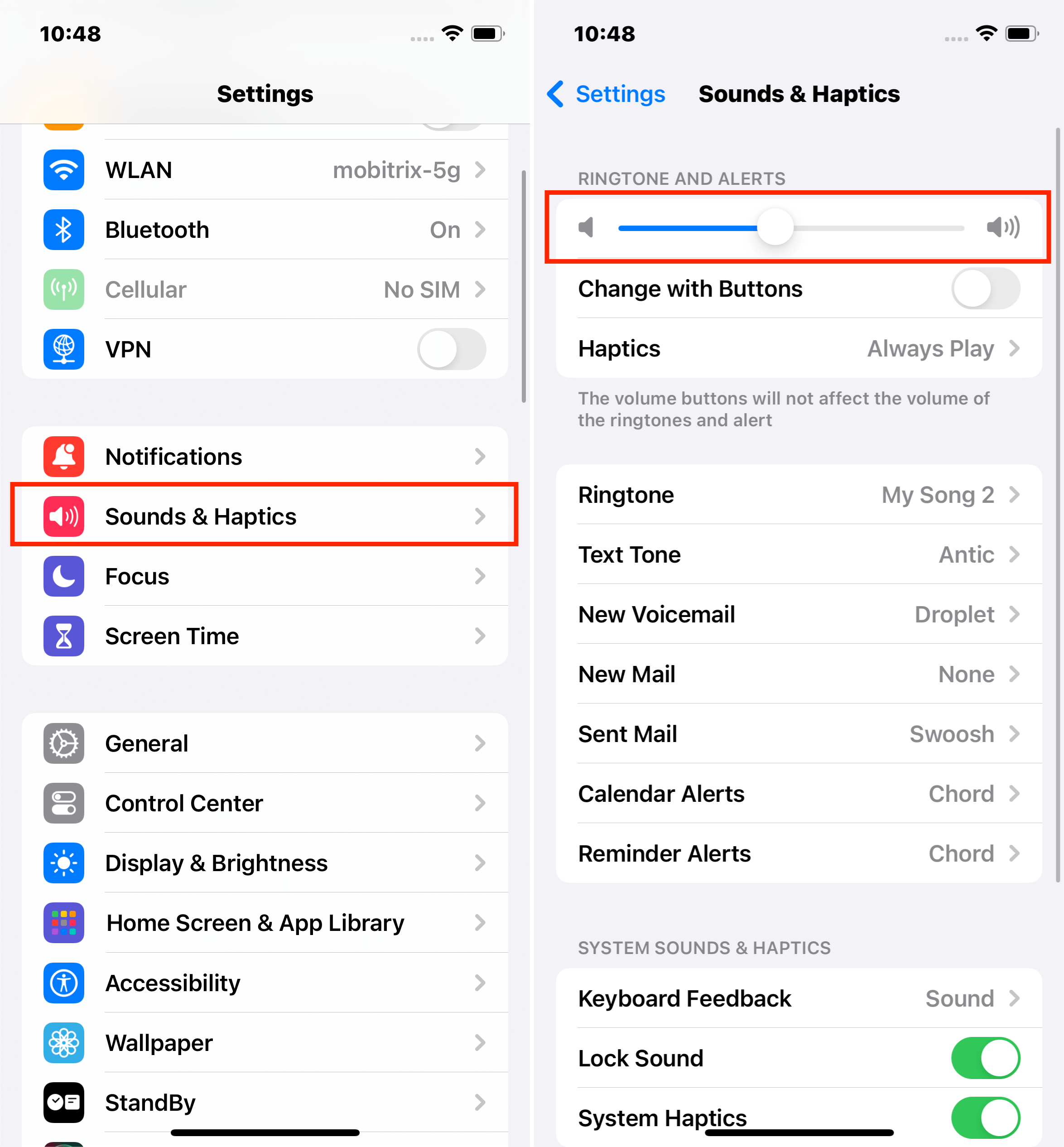 Adjust Volume in iPhone Settings