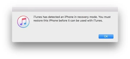 iPhone detected in recovery mode.