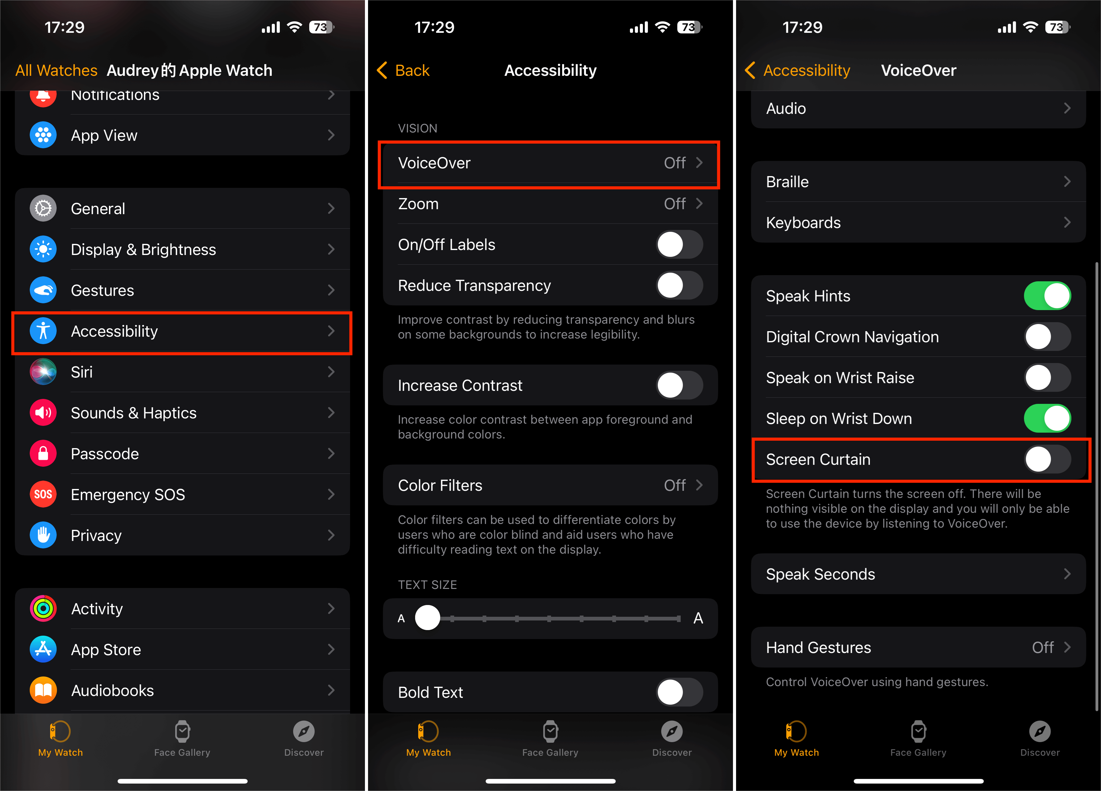 Disable VoiceOver and Screen Curtain in the Watch App on iPhone