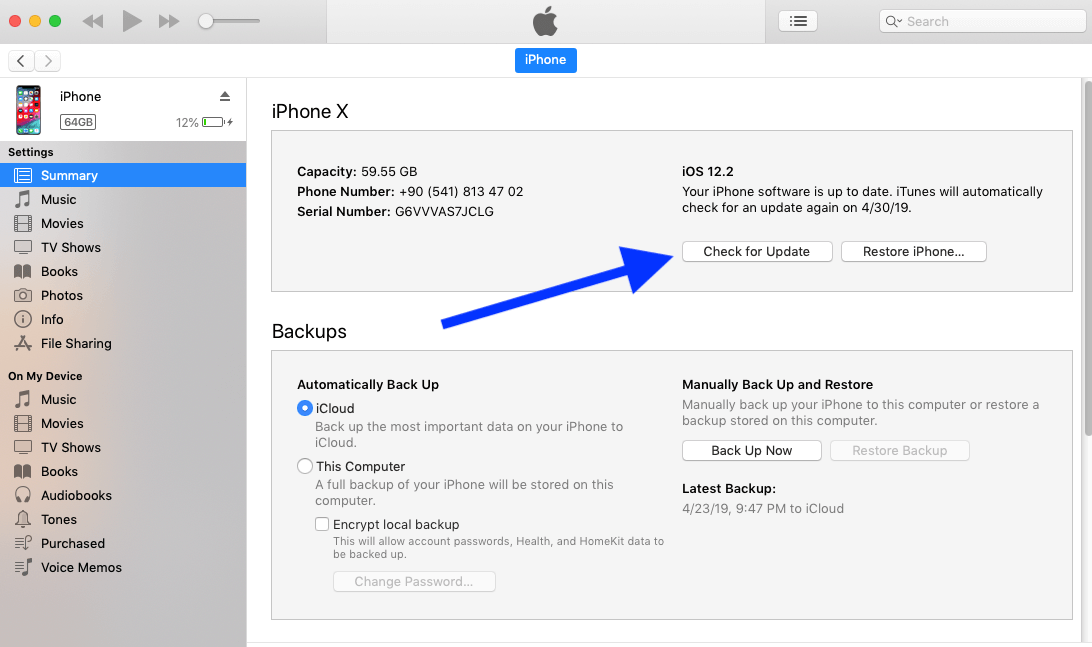Summary Tab in iTunes