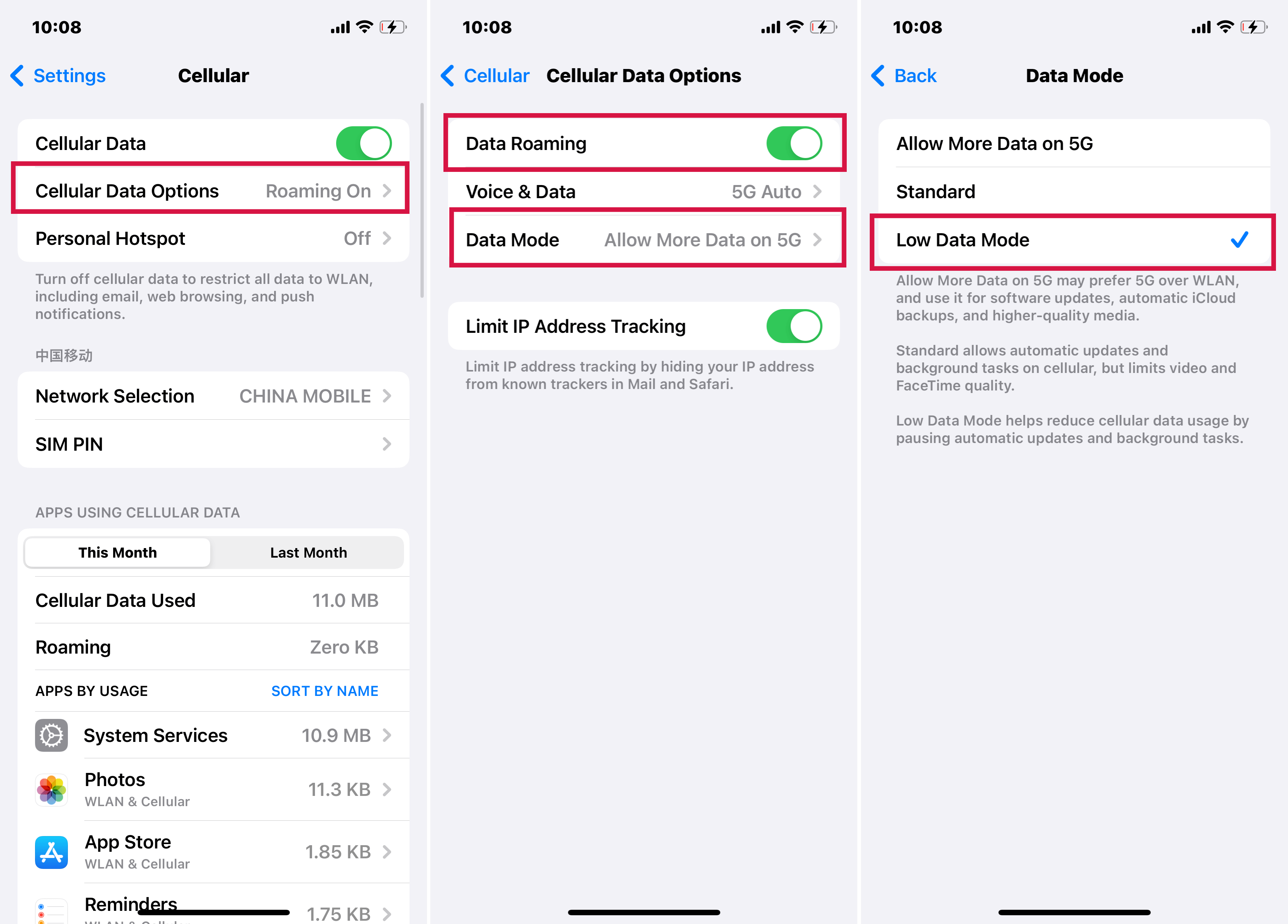Activate Low Data Mode on iPhone Settings
