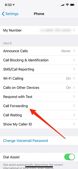 Choose Call Forwarding on iPhone