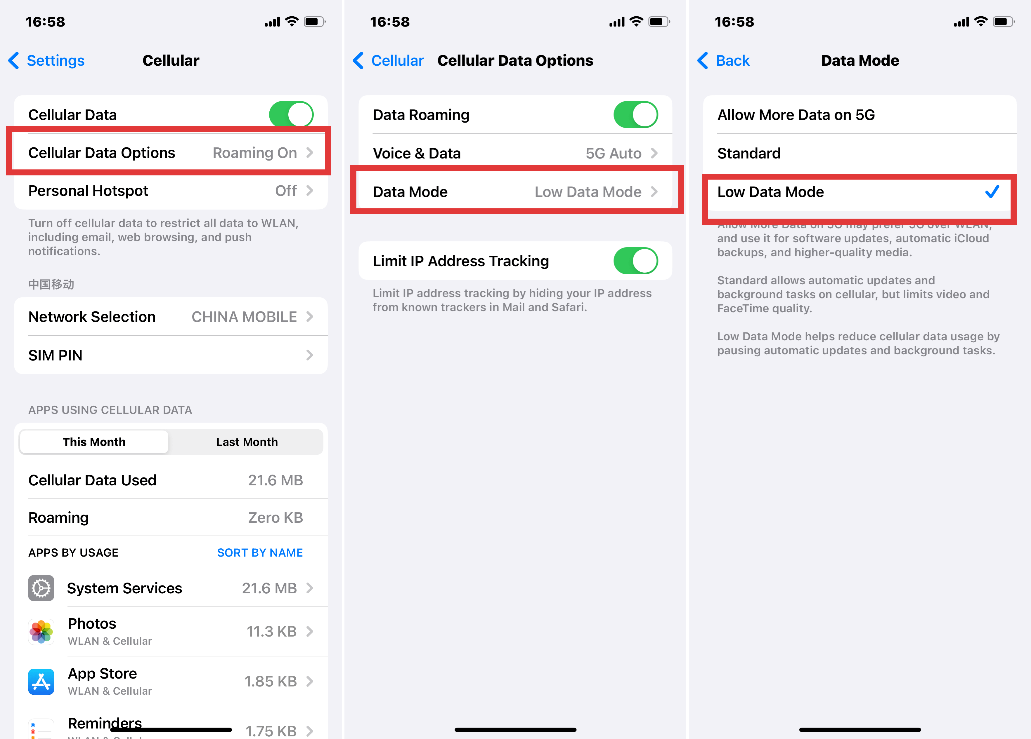 Enable Low Data Mode on iPhone Settings