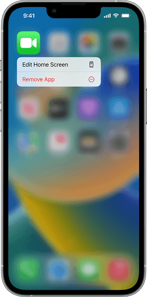 Edit Home Screen or Remove App