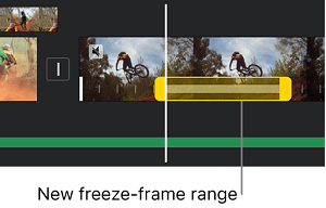 New Freeze Frame Range