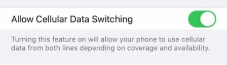 IPhone Setting for Esim or Dual SIM Allow Cellular Data Switching