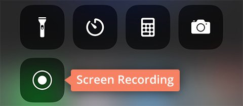 The Screen Record Button