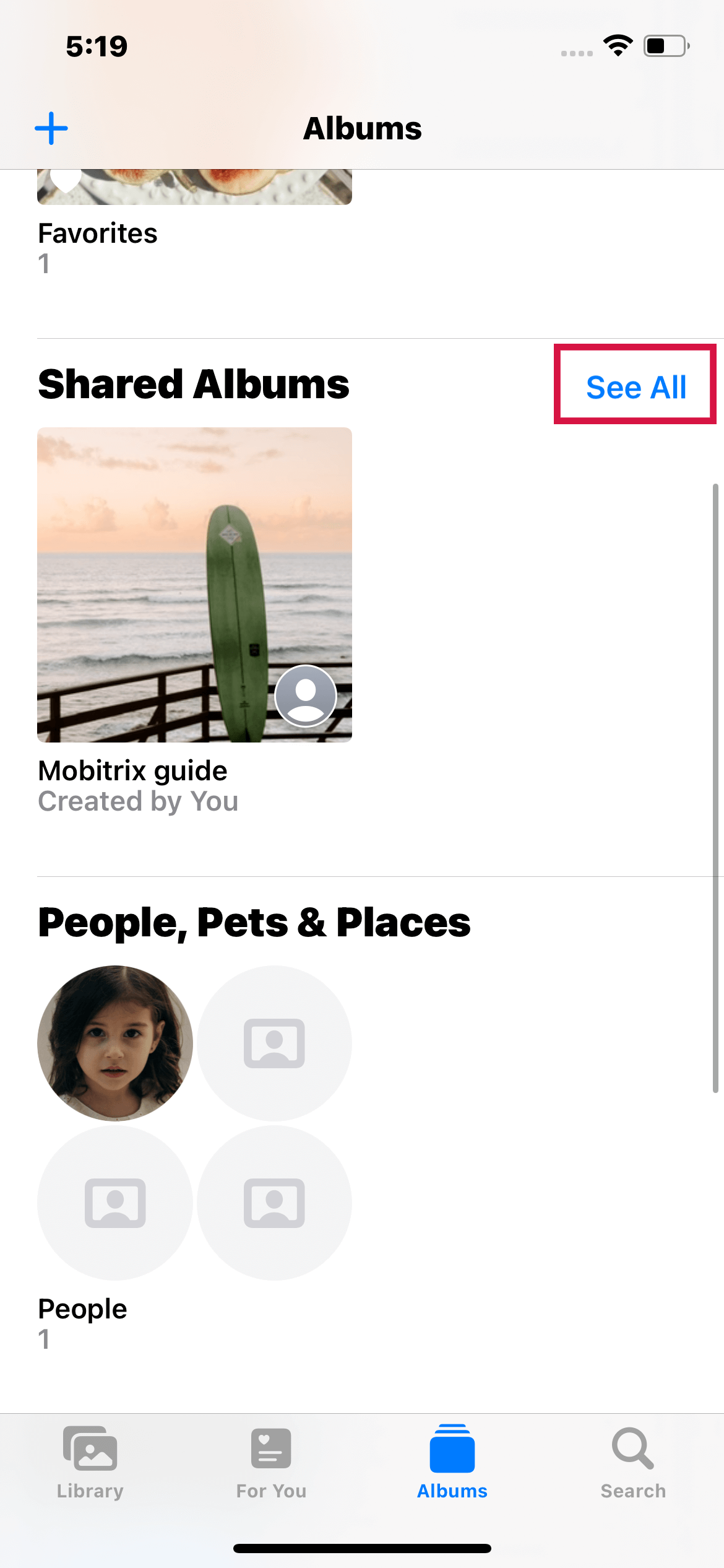 See All in Shared Albums