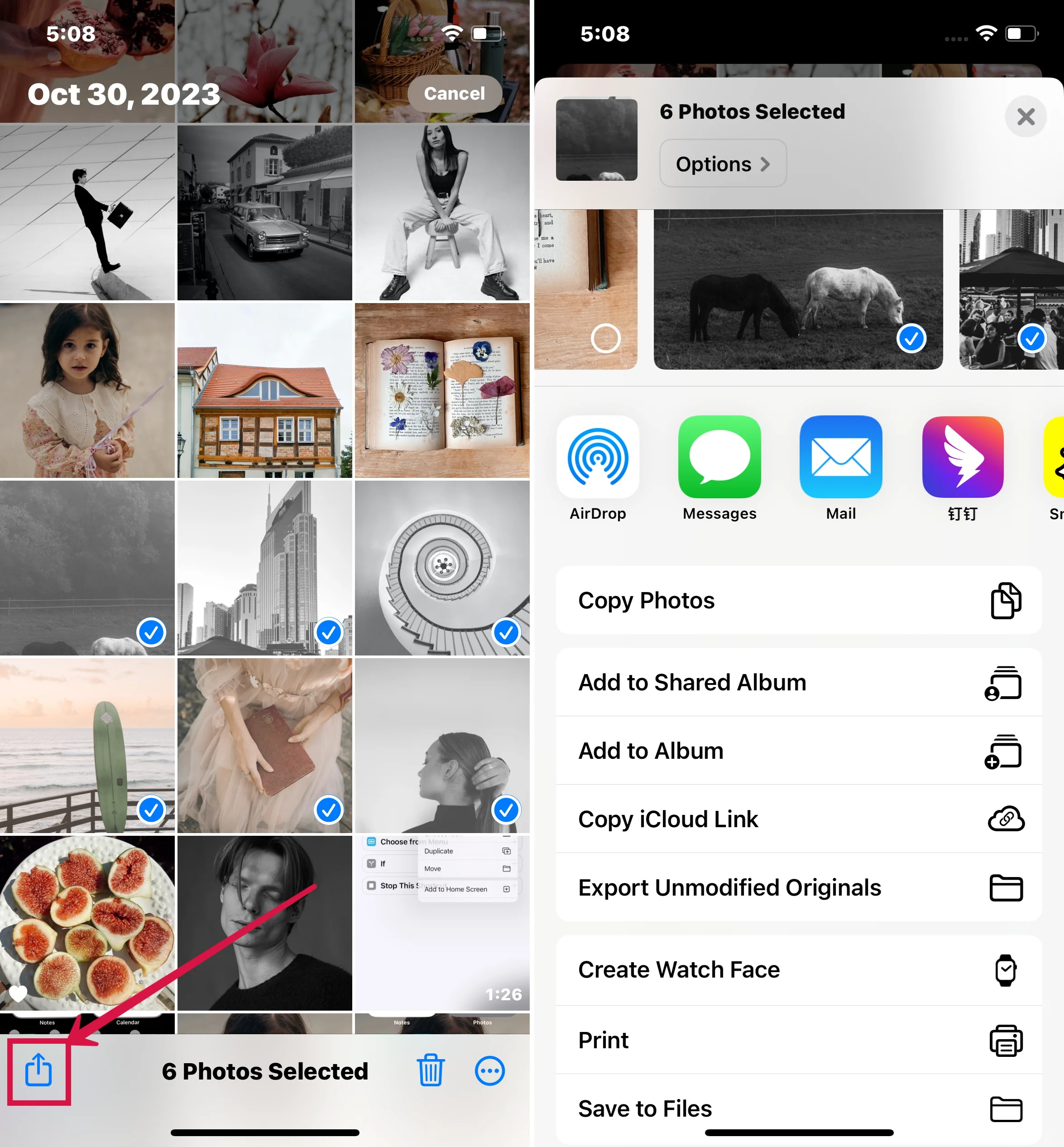 Add to Shared Album in Photos