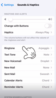 Go Back to The Settings App and Select Sounds Haptics