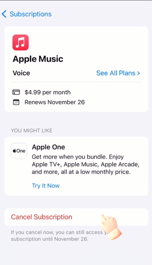 Select Cancel Subscription at The Bottom