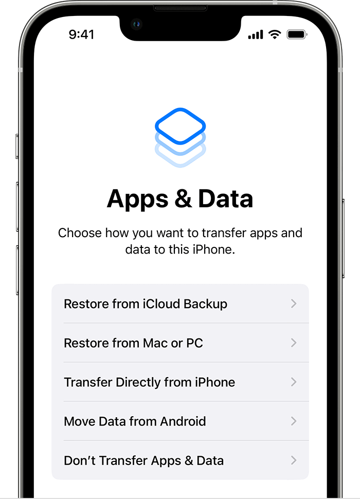 Restore Data from iCloud Backup