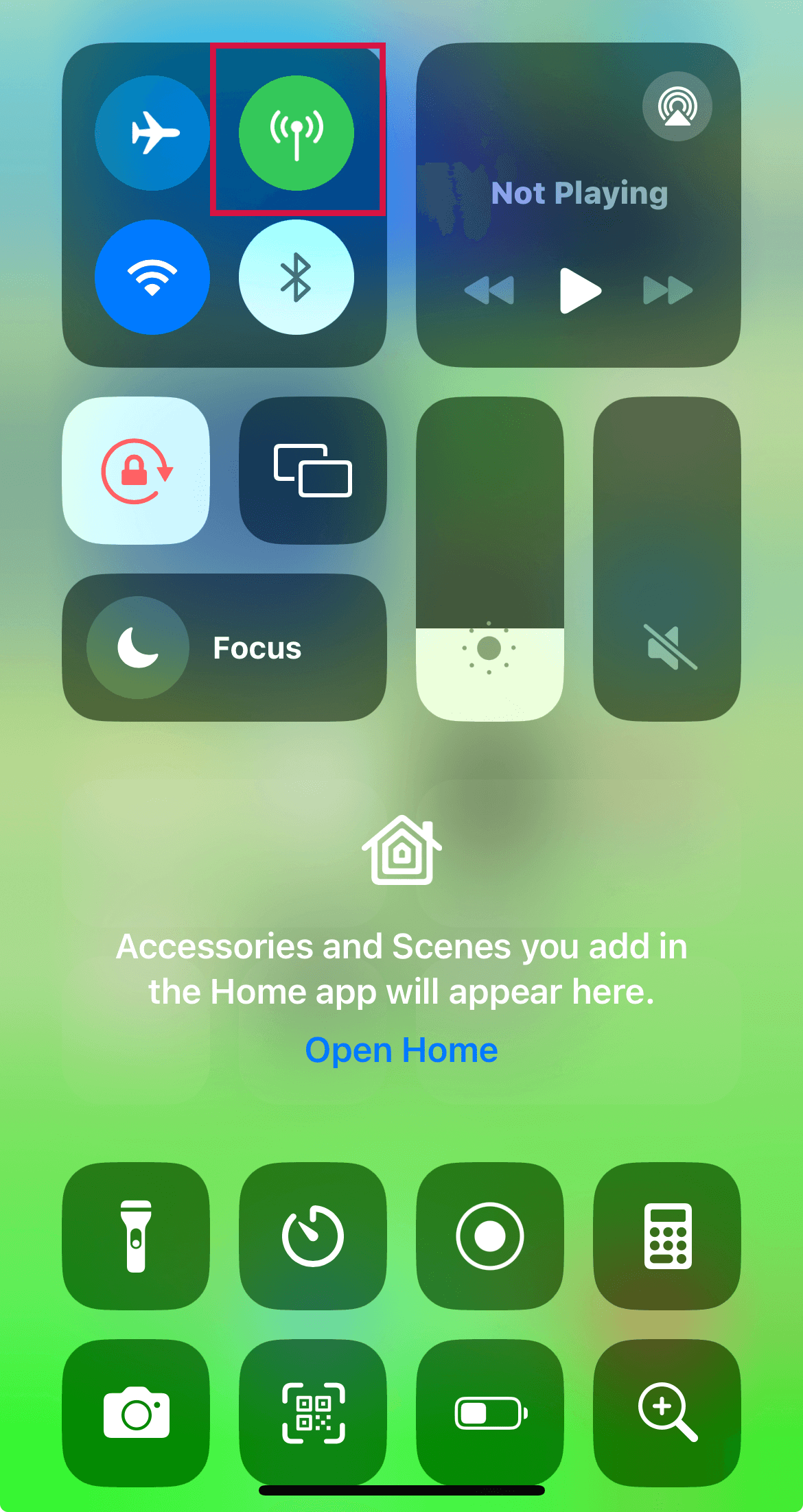 Turn Cellular Data On or Off from iPhone Control Center