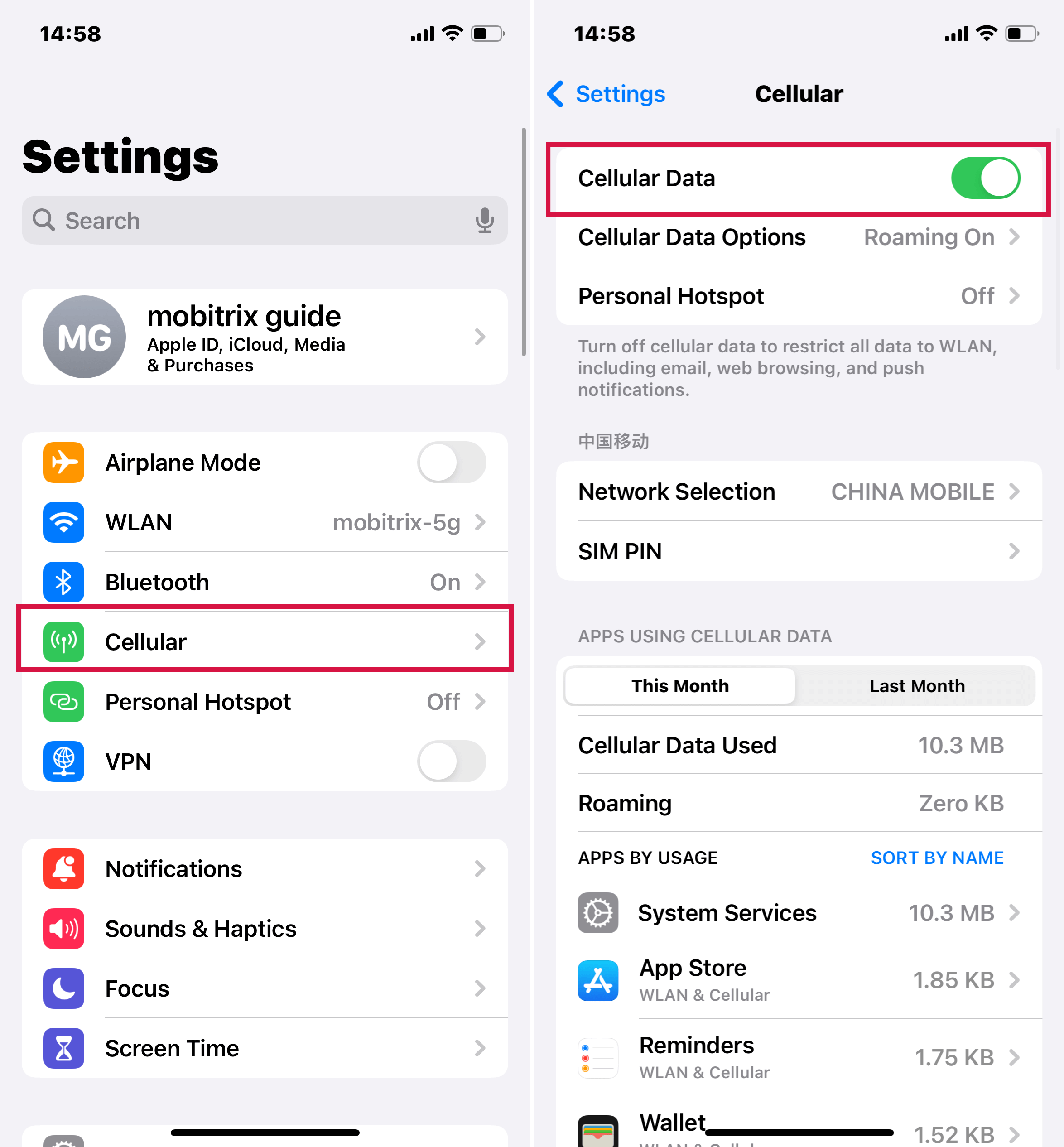 Turn Cellular Data On or Off on iPhone Settings