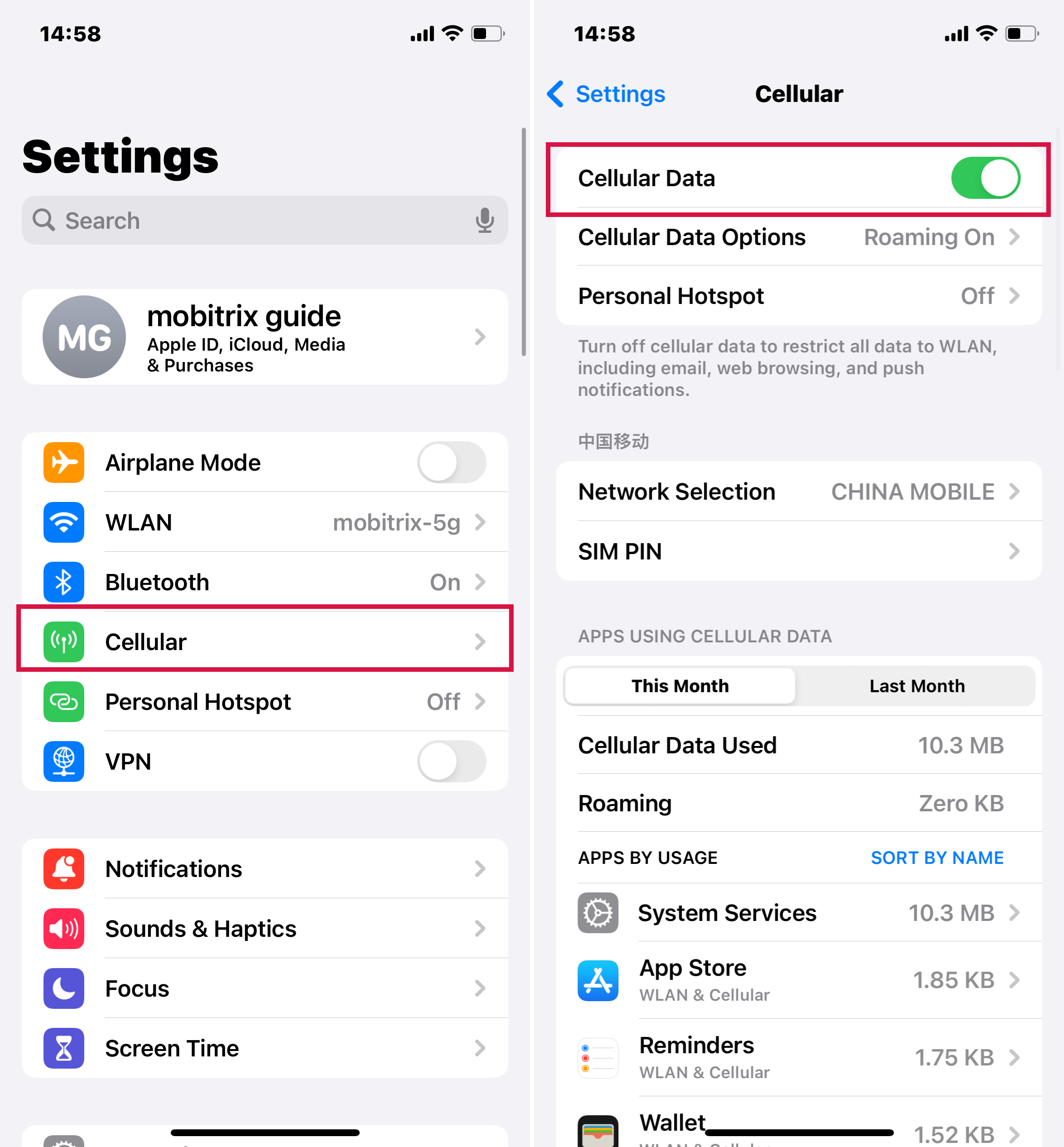 Turn Cellular Data On Or Off On Iphone Settings