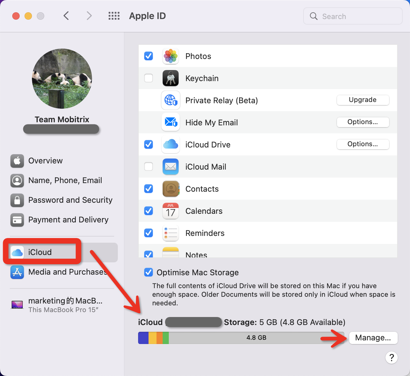Check iCloud Storage Click Apple ID